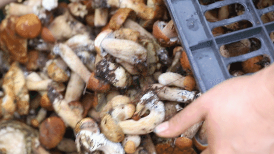 昆明广播电视台微信