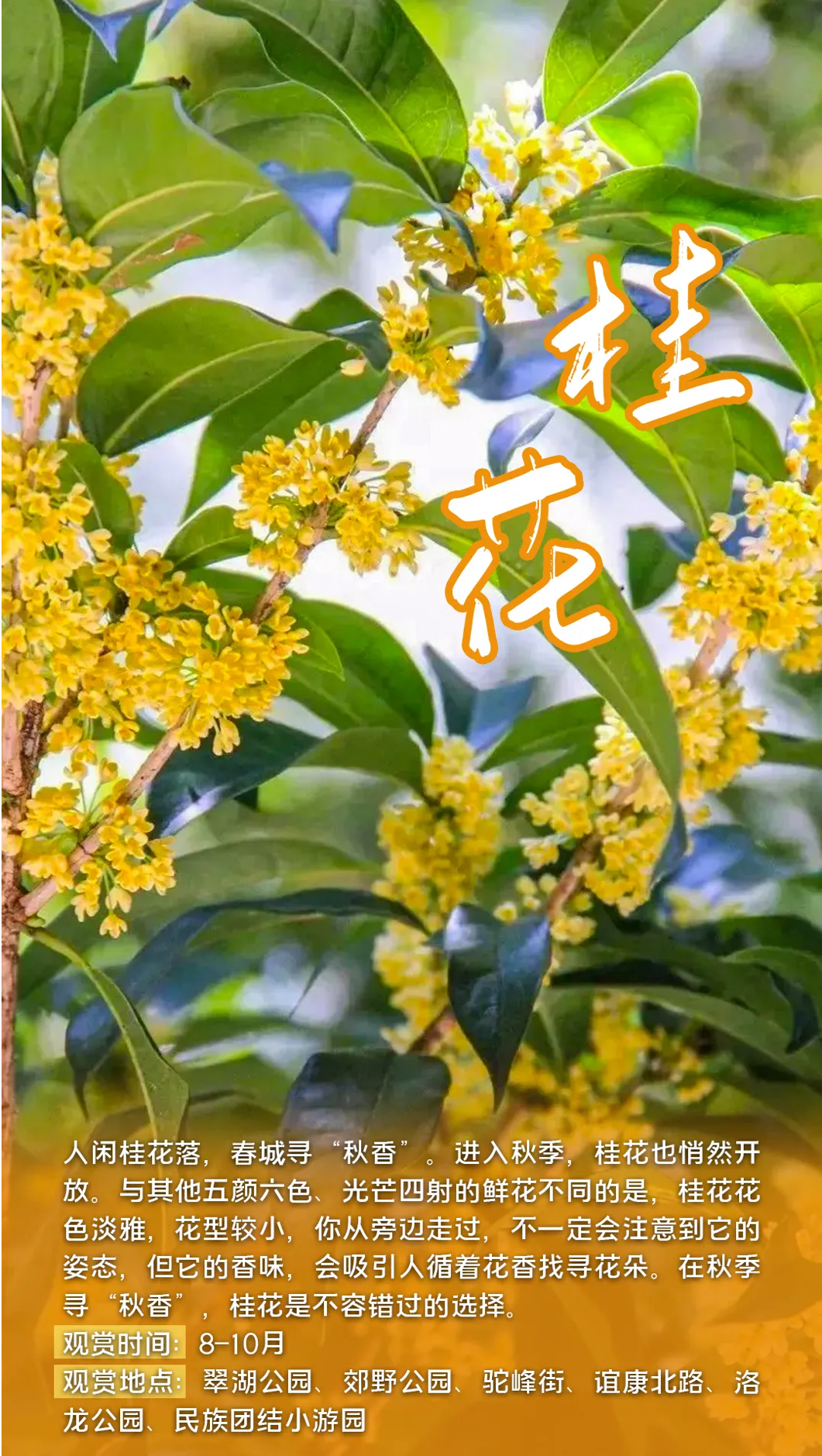 FM105城市生活广播