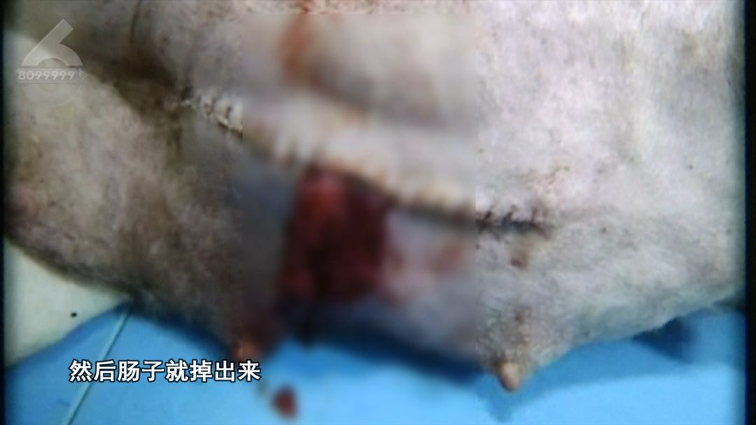 8099999街头巷尾微信