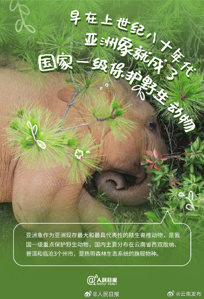 云南发布