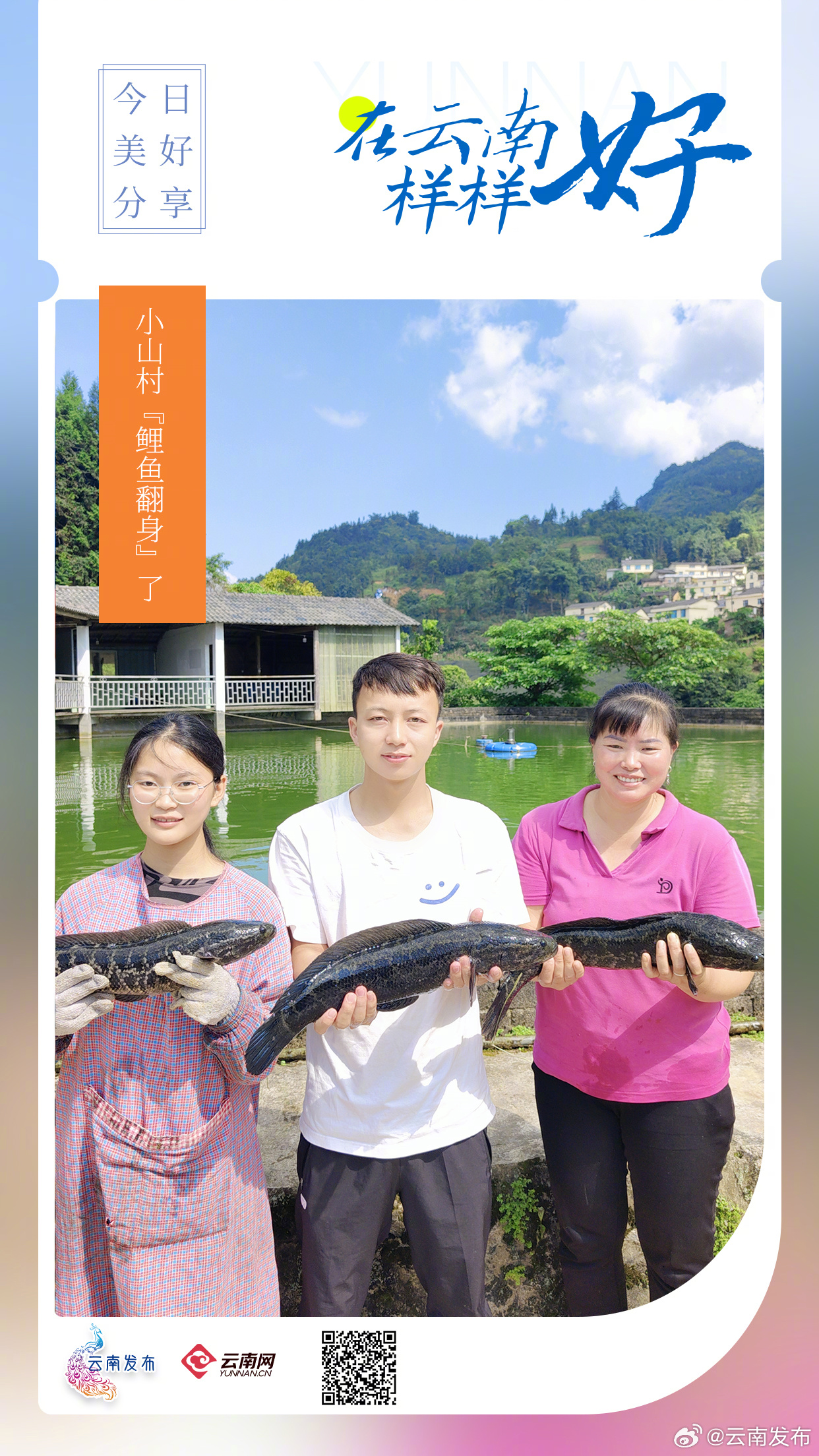 小山村“鲤鱼翻身”了