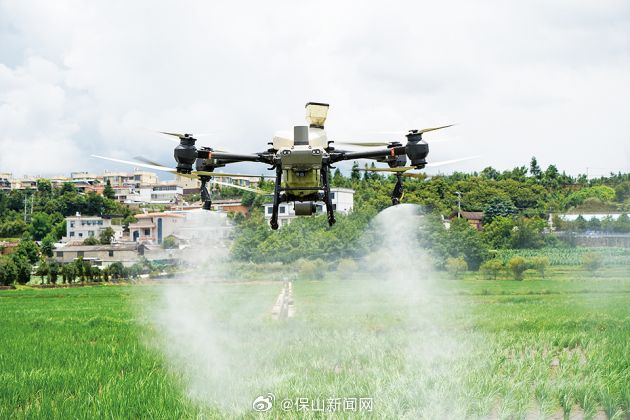 昌宁：统防统治夯实粮食丰收基础