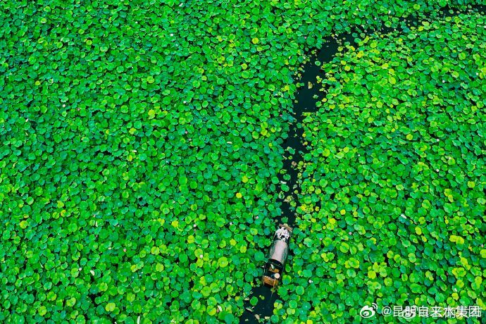 昆明自来水公司