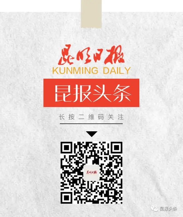 昆报头条微信