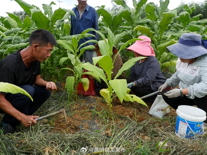 昆明盘龙发布