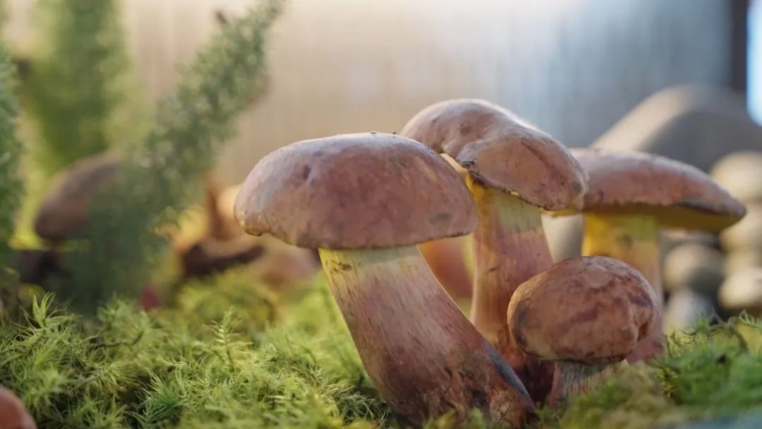 晋宁诗意的栖居地