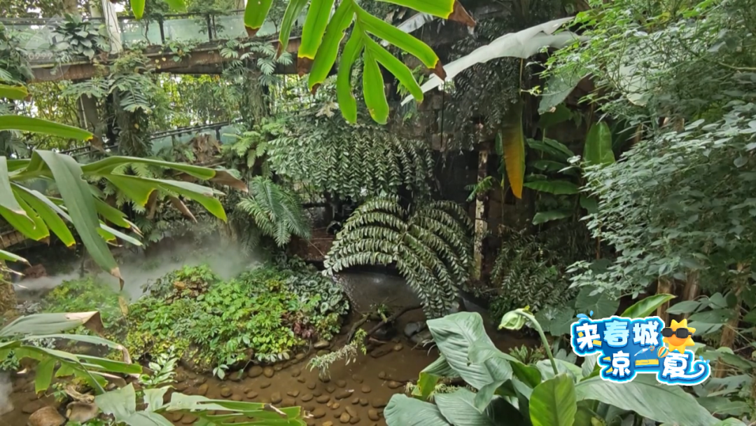 8099999街头巷尾微信