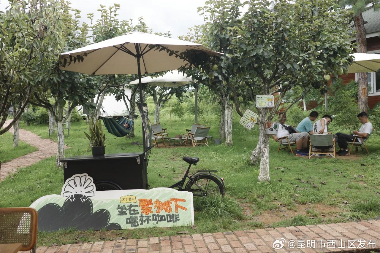 昆明市西山区发布