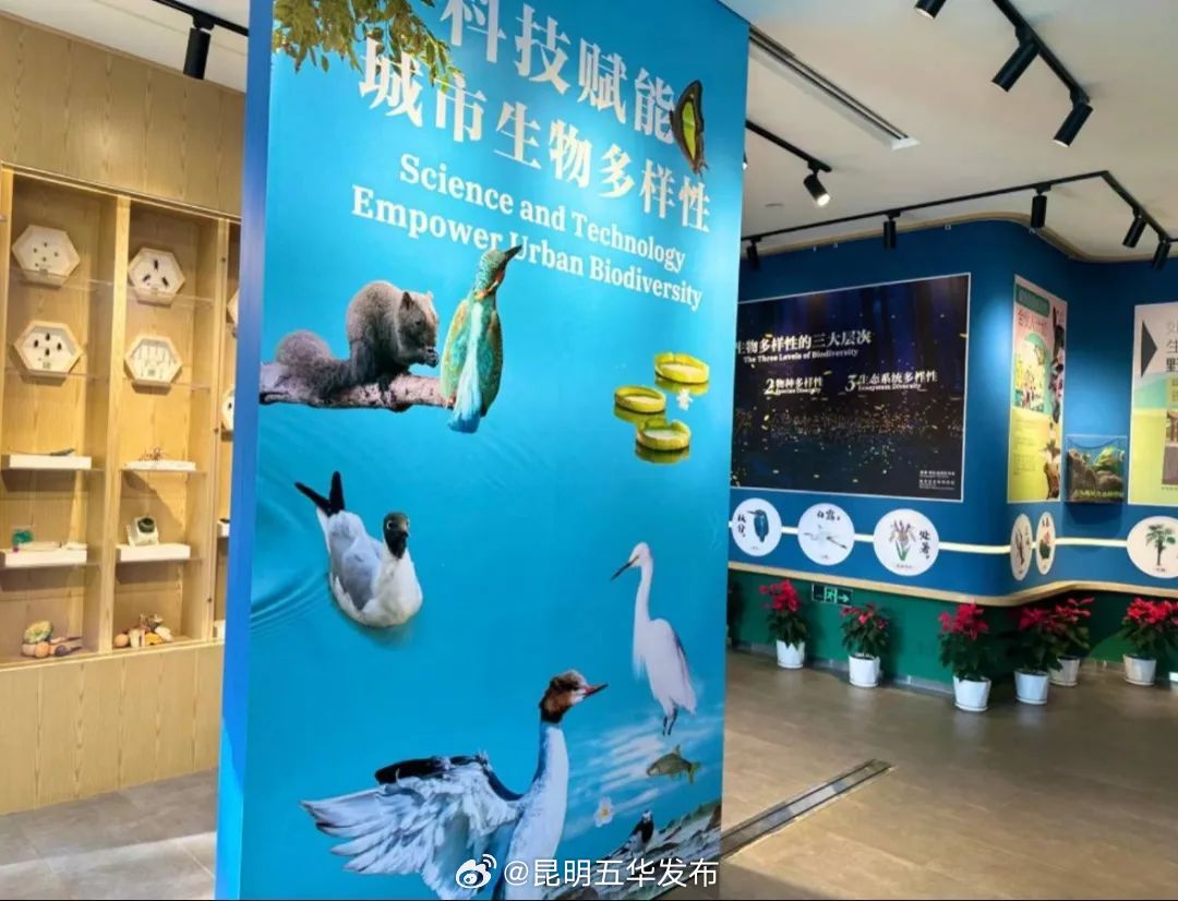 昆明五华发布