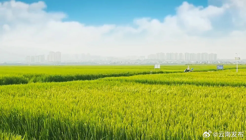 云南发布