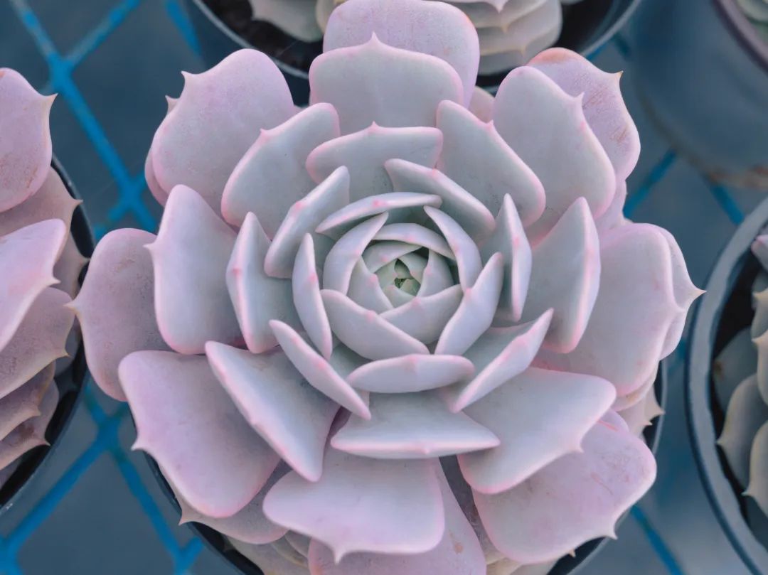 晋宁诗意的栖居地