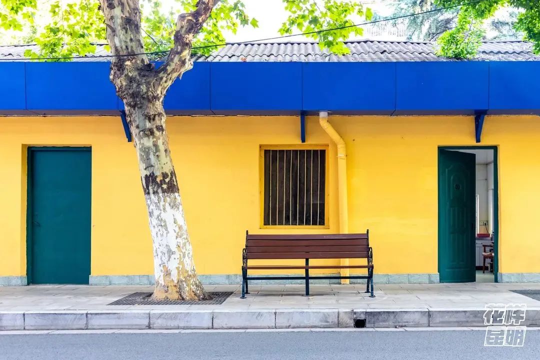 8099999街头巷尾微信