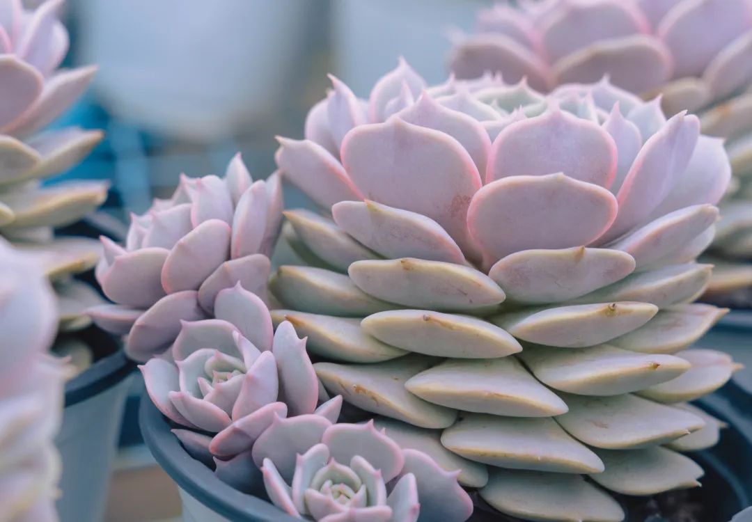 晋宁诗意的栖居地