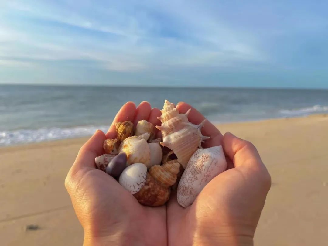 昆明广播电视台