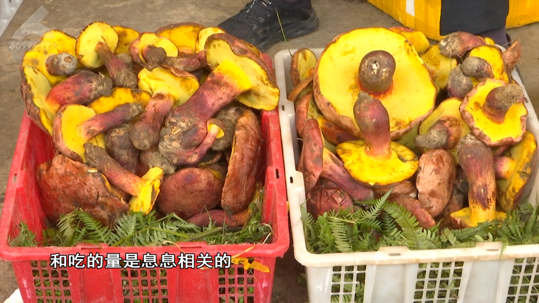 昆明广播电视台微信