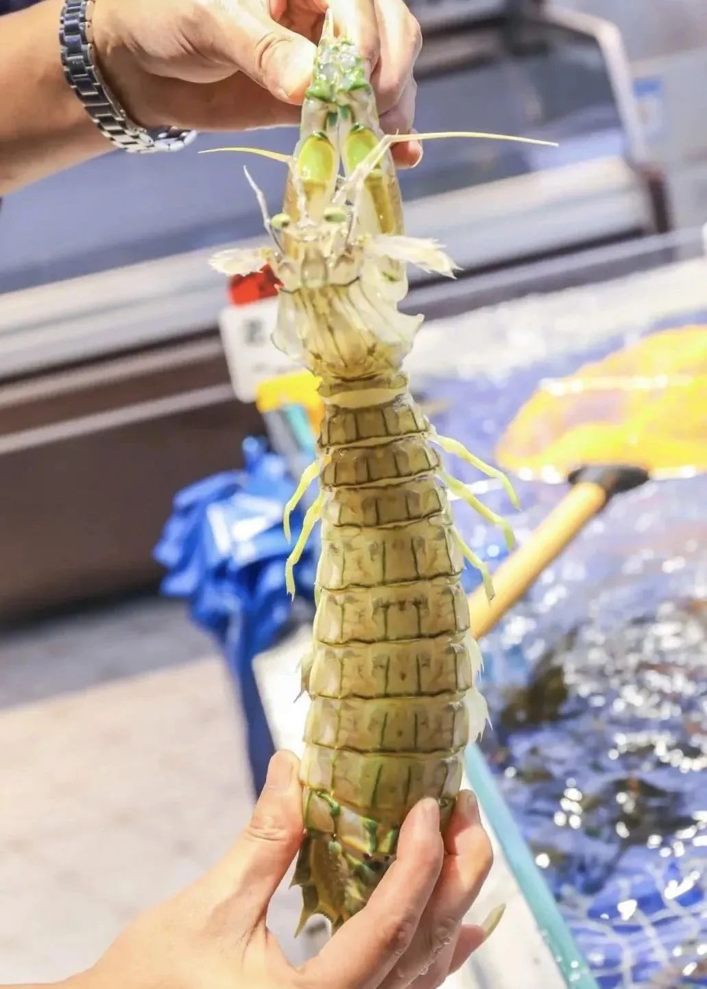 昆明广播电视台微信