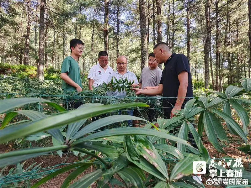 云南首个以中药材为主的云岭农科小院挂牌