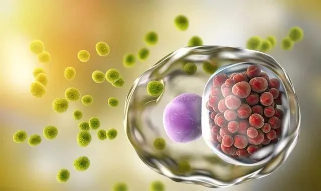 昆明国家高新区发布