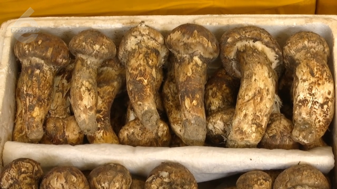 8099999街头巷尾微信