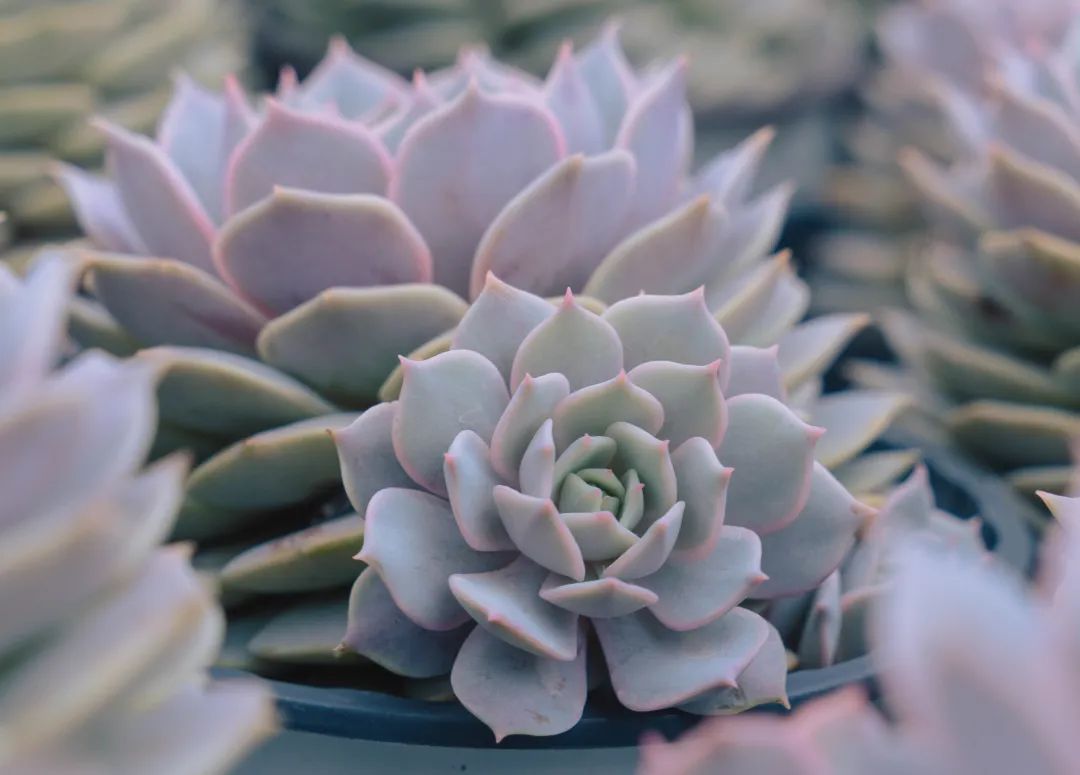 晋宁诗意的栖居地