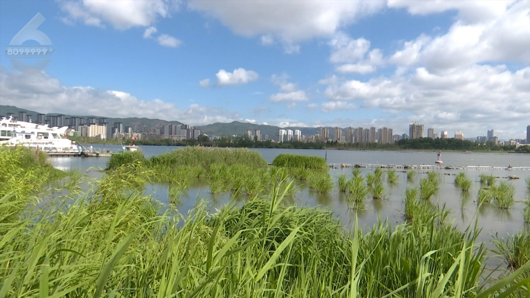 8099999街头巷尾微信