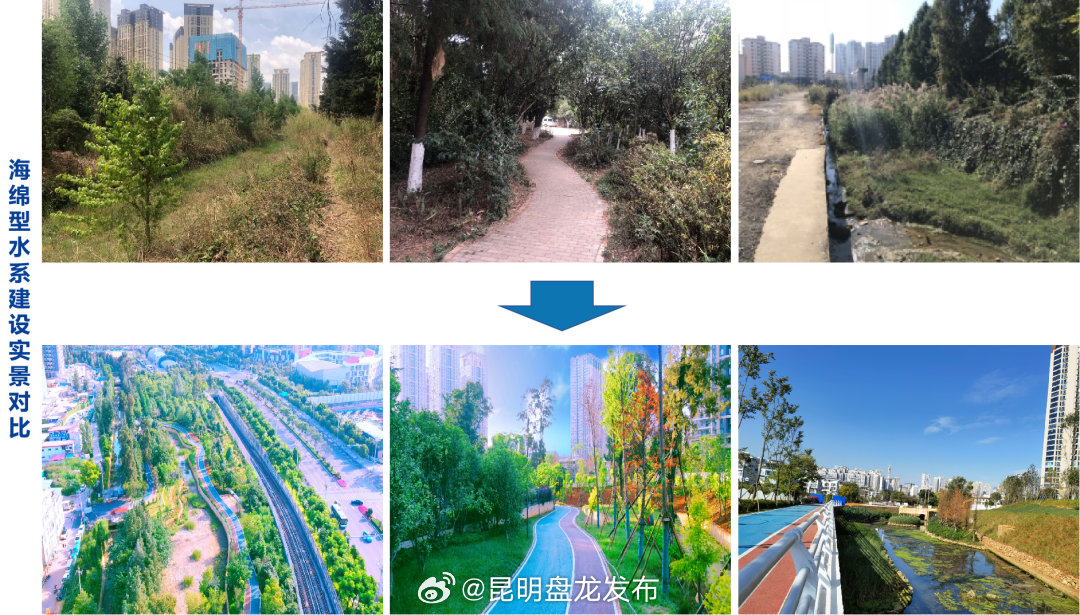 打造“会呼吸”的海绵城市，为“幸福盘龙”加码！