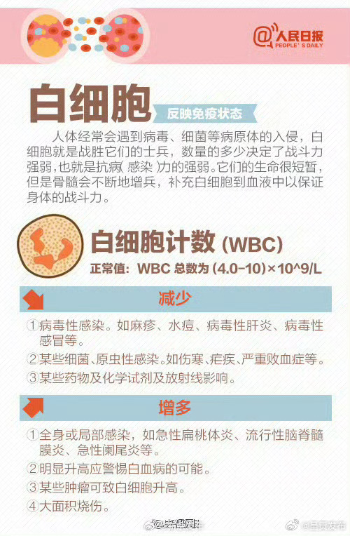 呈贡发布