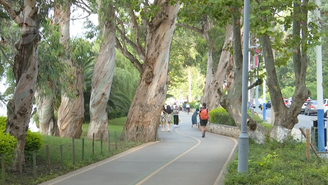 8099999街头巷尾微信