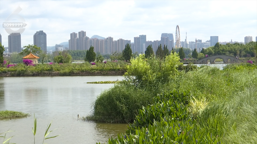 8099999街头巷尾微信