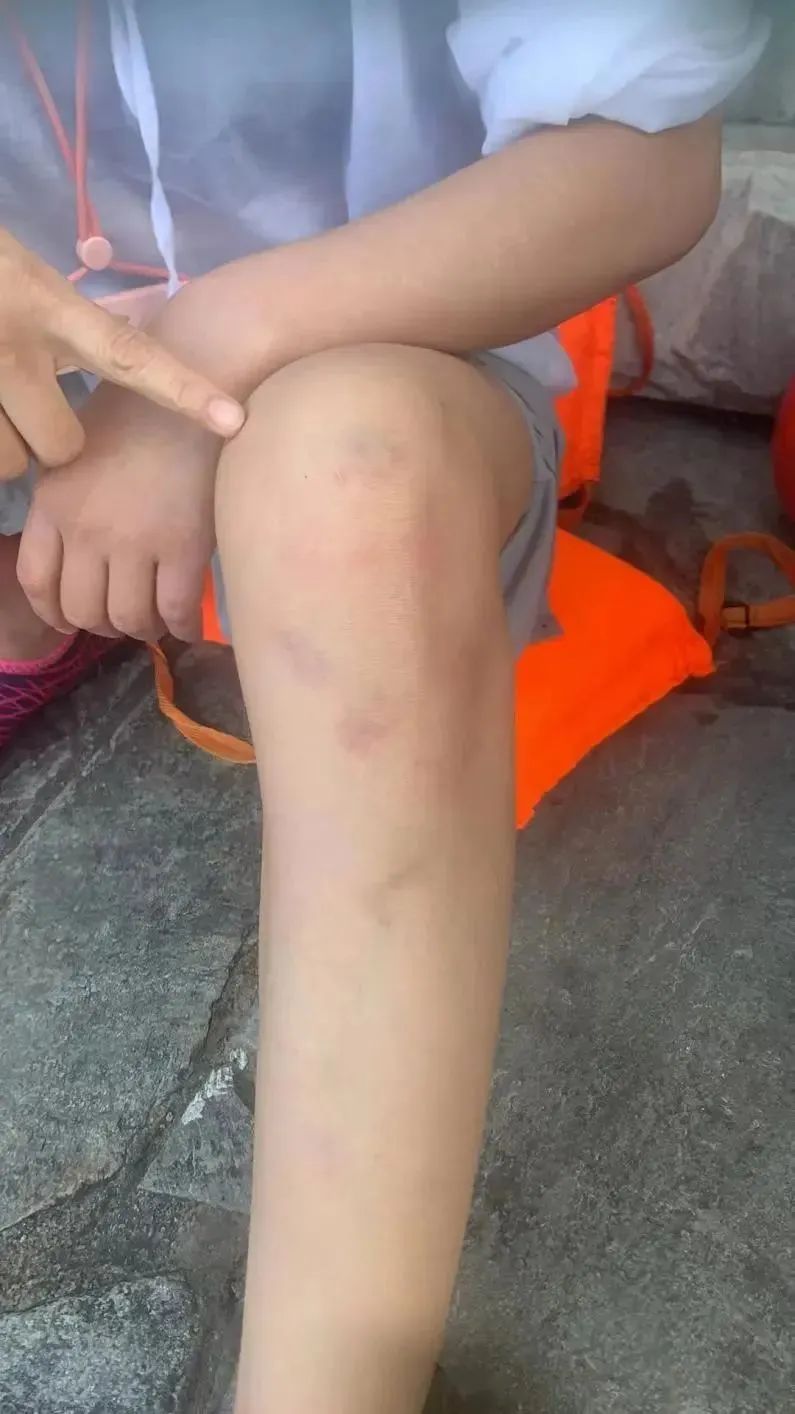 美丽云南微科普