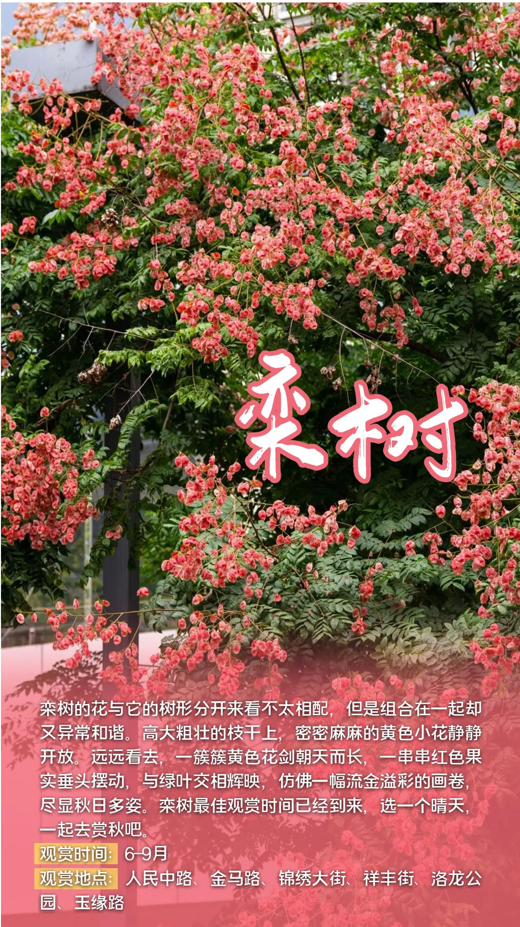 FM105城市生活广播