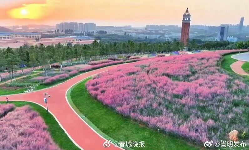 云南大学呈贡校区获得两项国家级荣誉