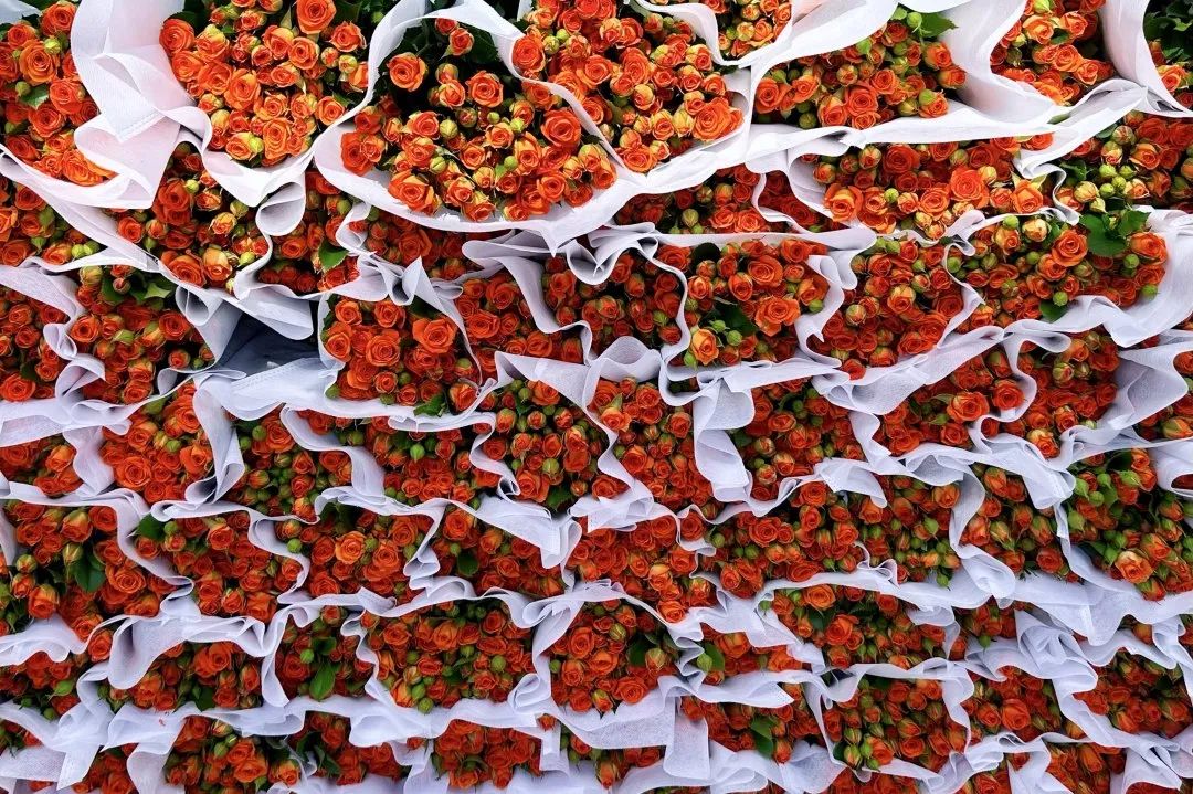 晋宁诗意的栖居地