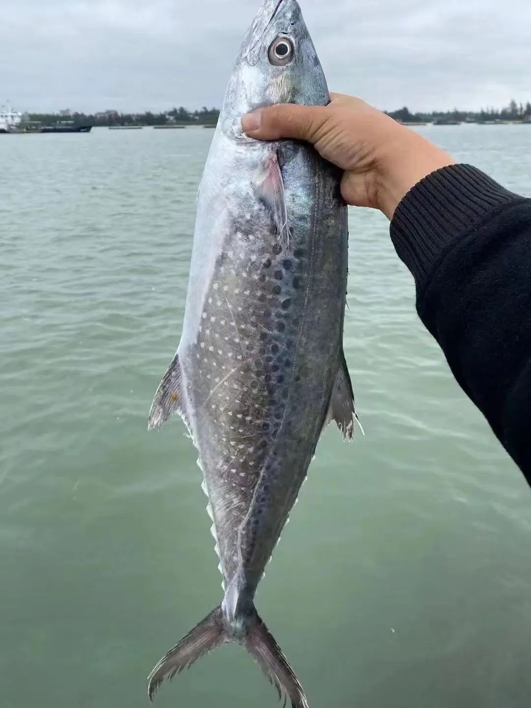 昆明广播电视台微信