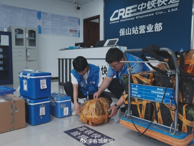 春城晚报
