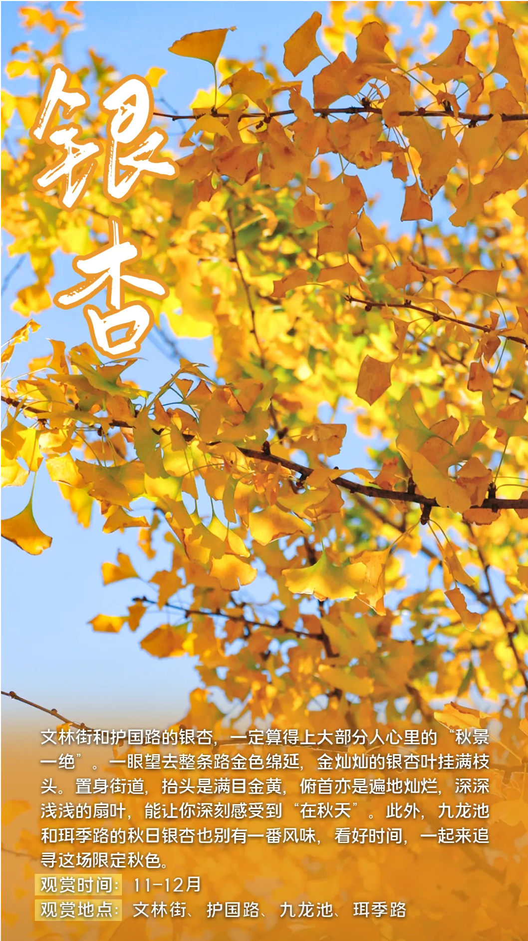 FM105城市生活广播
