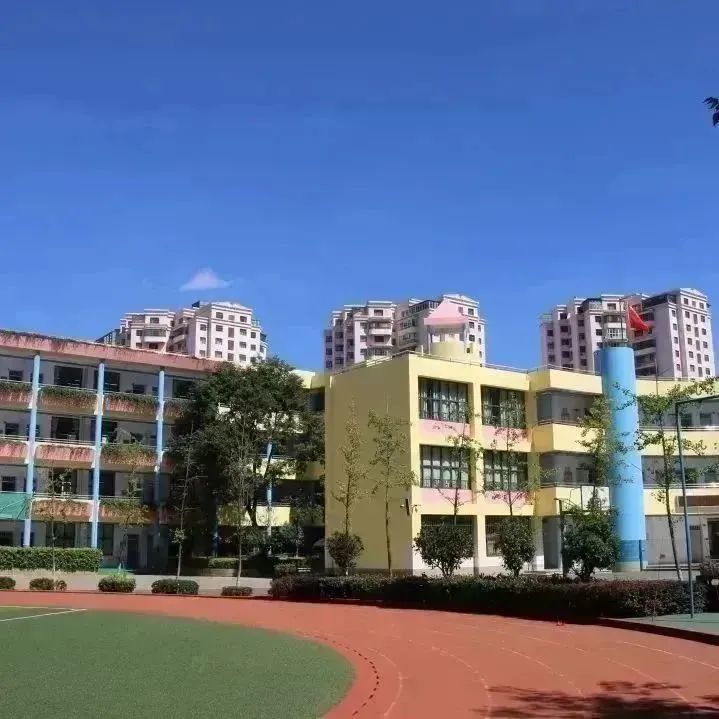 盘龙教育