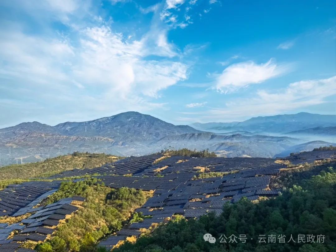 云南省人民政府网