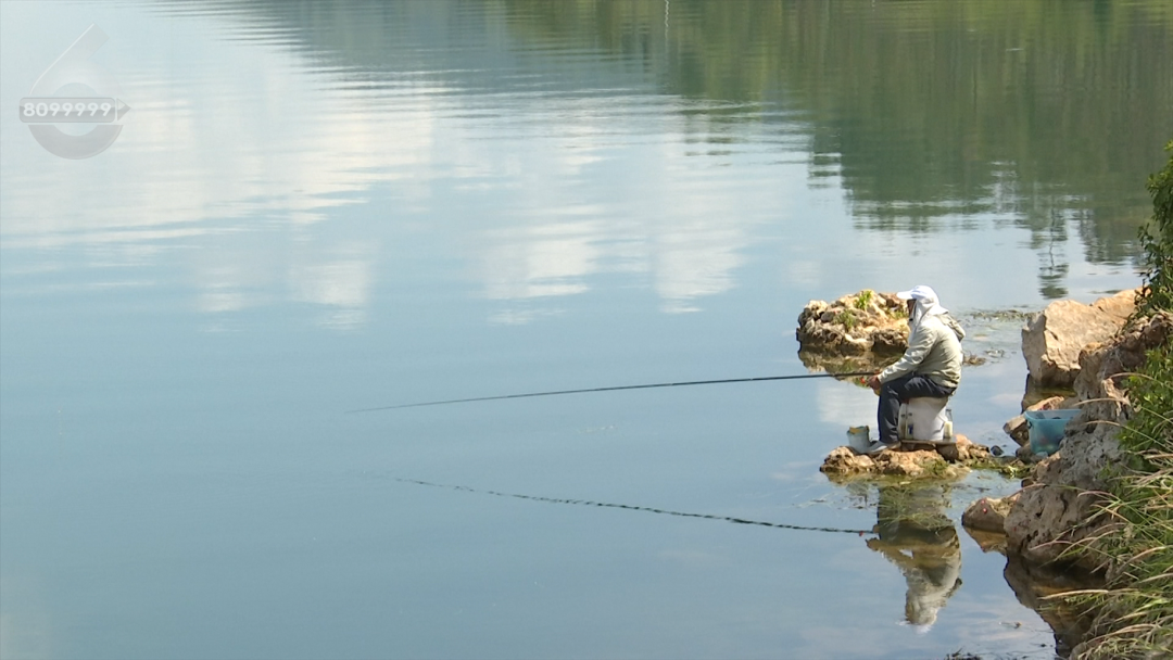 8099999街头巷尾微信