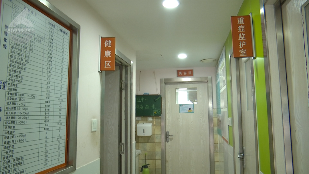 8099999街头巷尾微信