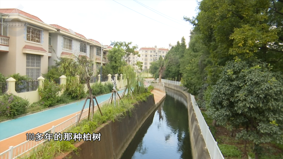 8099999街头巷尾微信