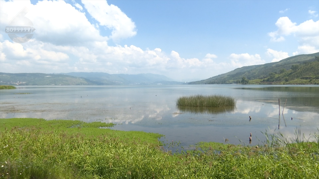 8099999街头巷尾微信