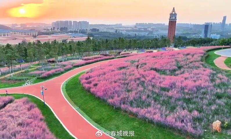 云南大学呈贡校区获得两项国家级荣誉