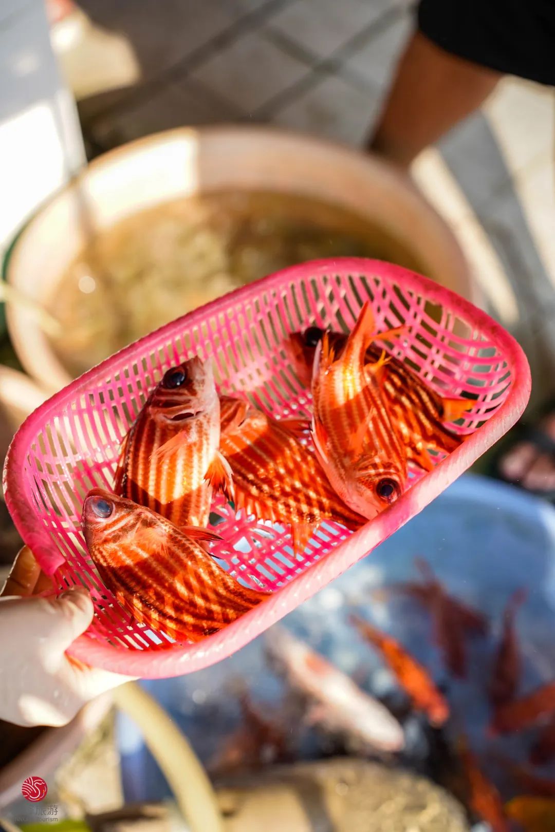 昆明广播电视台微信