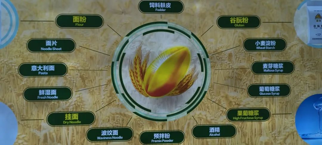 晋宁诗意的栖居地