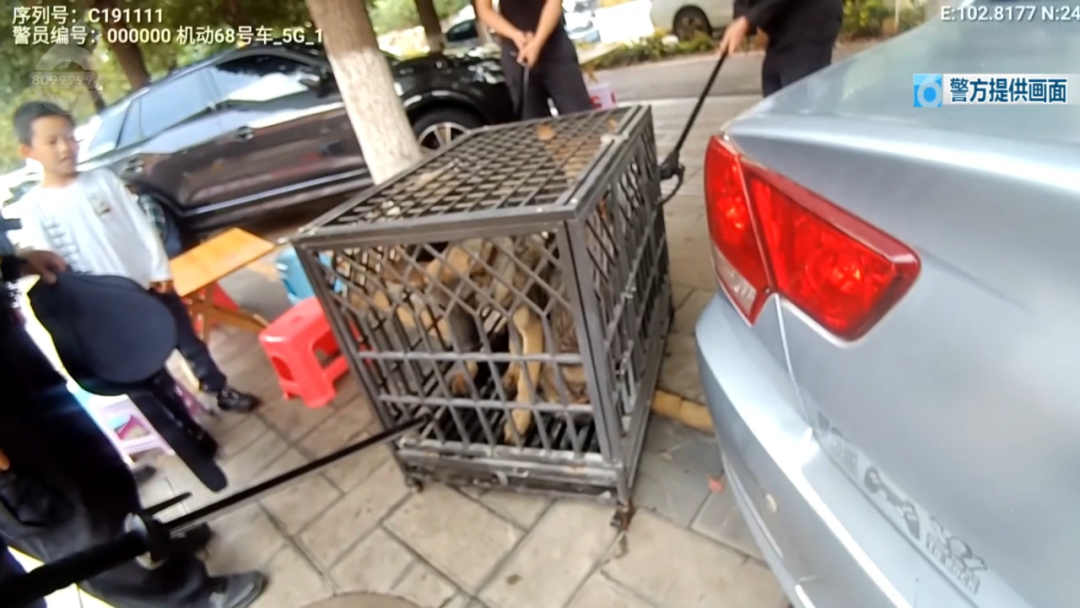 8099999街头巷尾微信