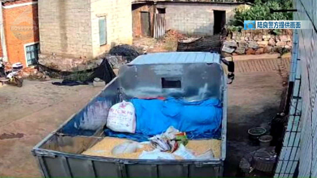 8099999街头巷尾微信