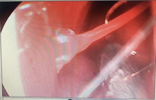 云南省中医医院