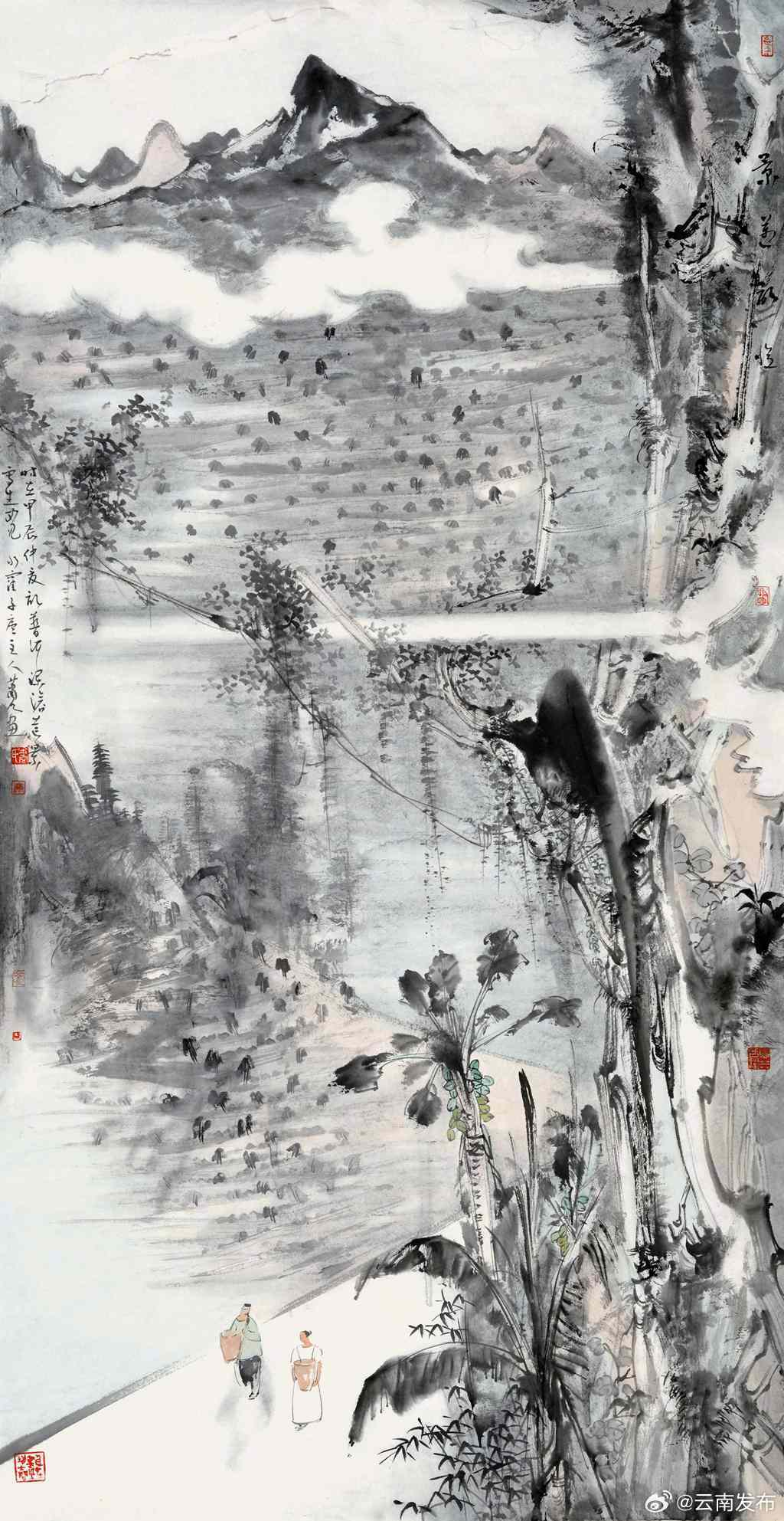 云南发布