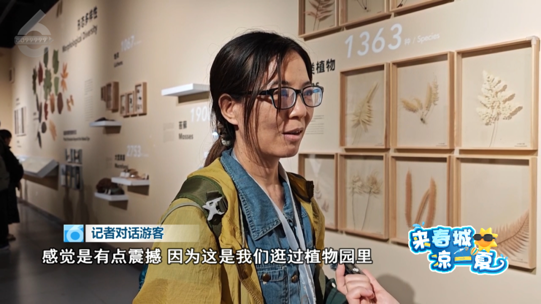 8099999街头巷尾微信